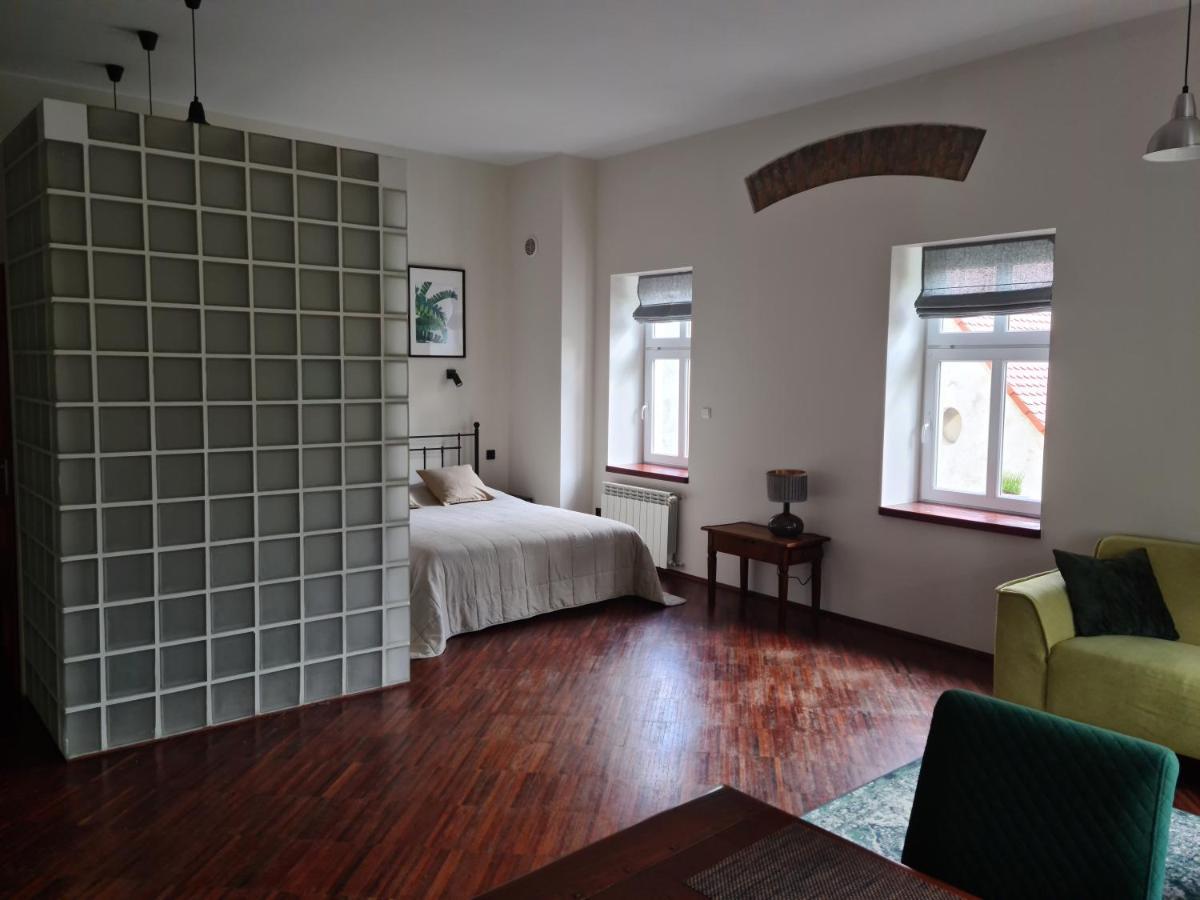 Apartament Apartament w Starej Szkole Srebrna Góra Zewnętrze zdjęcie